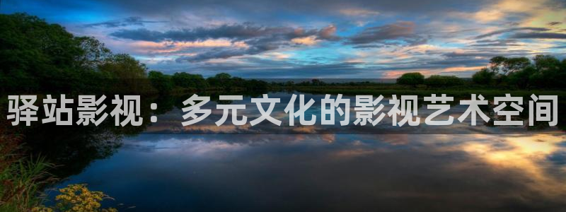 金牌影视免费观看：驿站影视：多元文化的影视艺术空间