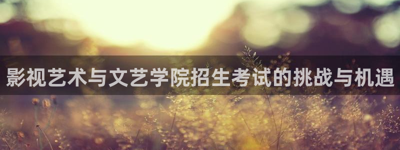 我是刑警金牌影院：影视艺术与文艺学院招生考试的挑战与机遇