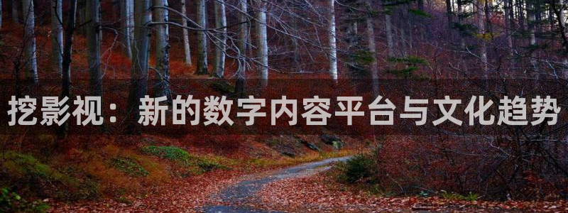 金牌影视剧大全：挖影视：新的数字内容平台与文化趋势