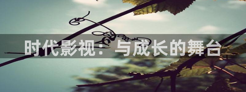 金牌荣耀电影韩国免费观看：时代影视：与成长的舞台