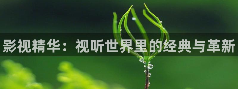 少年白马醉春风金牌影院：影视精华：视听世界里的经典与革新