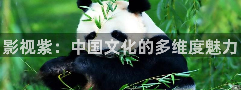 金牌影视免费观看：影视紫：中国文化的多维度魅力