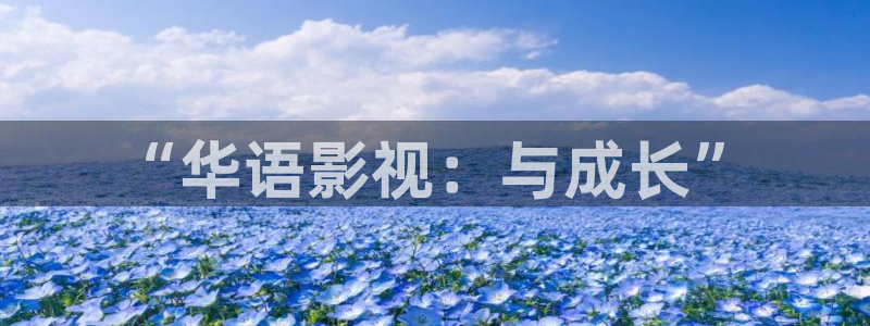 电影金牌销售：“华语影视：与成长”