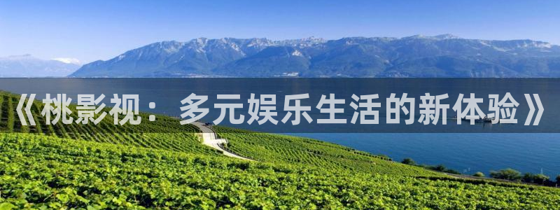金牌销售 电影：《桃影视：多元娱乐生活的新体验》